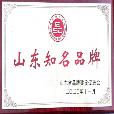 喜報！山東天工入選2020年度山東知名品牌